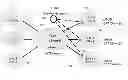 Fig. 01 - Multicast active source discovery and management for layer-2 interconnect solutions