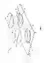 Fig. 04 - Equine foot imaging platform and method