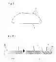 Fig. 02 - Sliding member and manufacturing method thereof