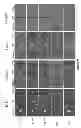 Fig. 35 - METHOD FOR SCREENING SIZE OF CARRIER