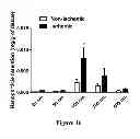 Fig. 45 - METHOD FOR SCREENING SIZE OF CARRIER