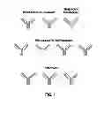 Fig. 02 - Knobs and holes heteromeric polypeptides