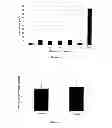 Fig. 02 - Immune privileged and modulatory progenitor cells