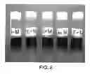 Fig. 09 - Controlled release formulations