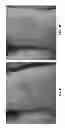Fig. 07 - Sodium-hypochlorite-based body wash compositions