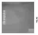 Fig. 08 - Sodium-hypochlorite-based body wash compositions