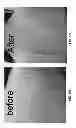 Fig. 09 - Sodium-hypochlorite-based body wash compositions