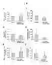 Fig. 07 - Lactic acid bacterium agent for improving lipid metabolism