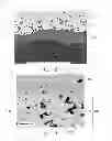 Fig. 03 - Water based slurry compositions for making environmental barrier coatings and environmental barrier coatings comprising the same