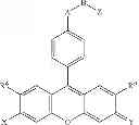 Fig. 08 - Fluorescent dyes