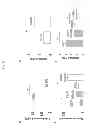 Fig. 06 - Methods For and Uses of Mechanical Stiffness Profiling of Cancer Cells