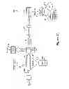 Fig. 02 - CAPILLARY BIOSENSOR SYSTEM AND ITS METHOD OF USE