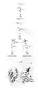 Fig. 02 - Chloroacetamidine based inhibitors and activity based probes for the protein arginine methytransferases