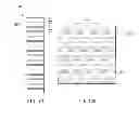Fig. 09 - Method of manufacturing display unit