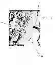 Fig. 02 - REFRACTORY  POWDER COMPRISING COATED MULLITE GRAINS