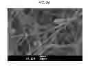 Fig. 05 - Ultrafine fiber-based composites having high hydroscopicity