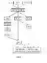 Fig. 03 - MODULATION OF EPIDERMAL GROWTH FACTOR RECEPTOR LIGANDS