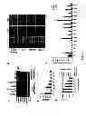 Fig. 04 - Compositions and methods for inhibiting human host factors required for influenza virus replication