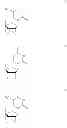 Fig. 49 - ENA nucleic acid pharmaceuticals capable of modifying splicing of mRNA precursors
