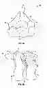 Fig. 02 - Posterior vertebral plating system
