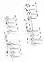 Fig. 09 - Pedicle screw having a removable rod coupling