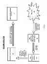 Fig. 03 - METHOD AND SYSTEM FOR CROSS SELLING OF GOODS AND SERVICES AMONG NON-AFFILIATED RETAIL MERCHANTS