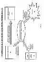 Fig. 04 - METHOD AND SYSTEM FOR CROSS SELLING OF GOODS AND SERVICES AMONG NON-AFFILIATED RETAIL MERCHANTS