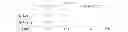 Fig. 18 - Multi-broker order routing based on net position