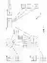 Fig. 06 - METHODS AND SYSTEMS FOR EXCHANGING AND/OR TRANSFERRING VARIOUS FORMS OF VALUE