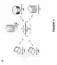 Fig. 02 - AUTOMATIC SPIKE LICENSING