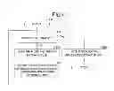 Fig. 06 - Device, system, method and program for data integration process