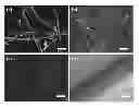 Fig. 01 - Methods of preparing nanoprobes and endoscope-like devices