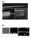 Fig. 04 - Methods of preparing nanoprobes and endoscope-like devices