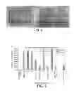 Fig. 03 - Anti-viral Formulations Nanomaterials and Nanoparticles