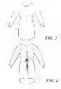 Fig. 06 - Disposable medical gown