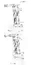 Fig. 07 - ATHLETIC SHORTS