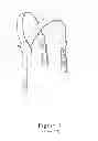 Fig. 02 - MULTI-FUNCTION SUSPENDERS