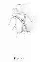 Fig. 07 - MULTI-FUNCTION SUSPENDERS