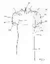 Fig. 06 - Protective apparel and support apparatus and method of use