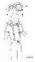 Fig. 12 - Protective apparel and support apparatus and method of use