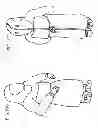 Fig. 20 - Protective apparel and support apparatus and method of use