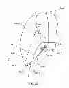 Fig. 21 - Protective apparel and support apparatus and method of use