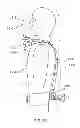 Fig. 25 - Protective apparel and support apparatus and method of use