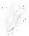 Fig. 07 - Waste receptacle