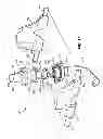 Fig. 13 - Steering assembly for surface cleaning device