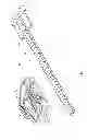 Fig. 04 - FASTENING DEVICE FOR FOOTWEAR