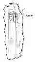 Fig. 07 - Mounting system for sporting equipment