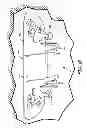 Fig. 12 - Mounting system for sporting equipment