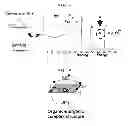 Fig. 02 - Electrochemical device comprising aliphatic nitrile compound
