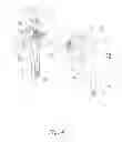Fig. 05 - Bicycle crank assembly